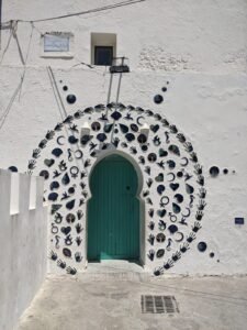 WhatsApp Image 2024-12-15 at 12.39.27 PM