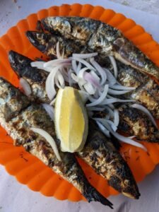 WhatsApp Image 2024-12-15 at 12.40.19 PM