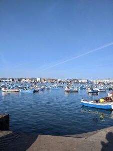 WhatsApp Image 2024-12-15 at 12.40.36 PM