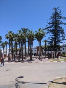 WhatsApp Image 2024-12-15 at 12.41.11 PM