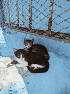 WhatsApp Image 2024-12-15 at 12.42.10 PM