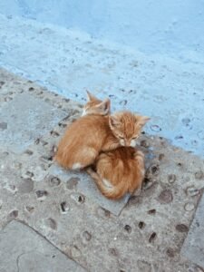 WhatsApp Image 2024-12-15 at 12.43.53 PM