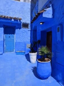 WhatsApp Image 2024-12-15 at 12.44.44 PM