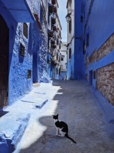 WhatsApp Image 2024-12-15 at 12.46.09 PM