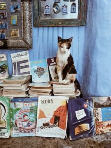 WhatsApp Image 2024-12-15 at 12.46.30 PM