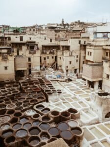 WhatsApp Image 2024-12-15 at 12.47.18 PM