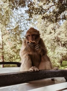 WhatsApp Image 2024-12-15 at 12.48.10 PM