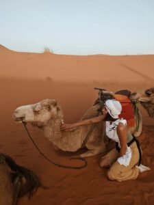 WhatsApp Image 2024-12-15 at 12.50.14 PM