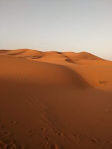 WhatsApp Image 2024-12-15 at 12.50.30 PM