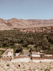 WhatsApp Image 2024-12-15 at 12.50.51 PM