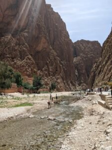 WhatsApp Image 2024-12-15 at 12.51.11 PM