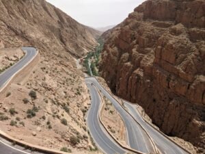 WhatsApp Image 2024-12-15 at 12.51.46 PM