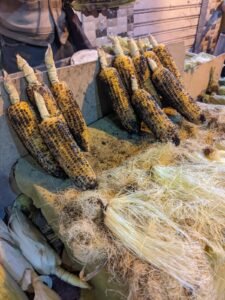 WhatsApp Image 2024-12-15 at 12.54.08 PM