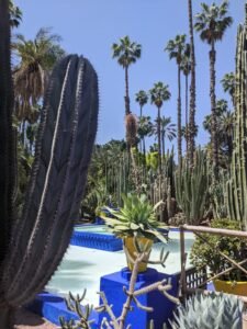 WhatsApp Image 2024-12-15 at 12.55.45 PM