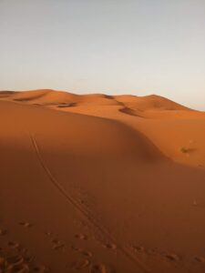 WhatsApp Image 2025-01-07 at 6.14.07 PM